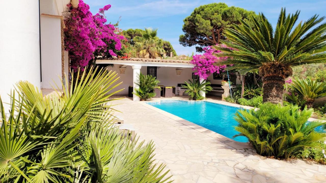 Villa Provencale A Sainte Maxime, Golf De Saint Tropez Zewnętrze zdjęcie