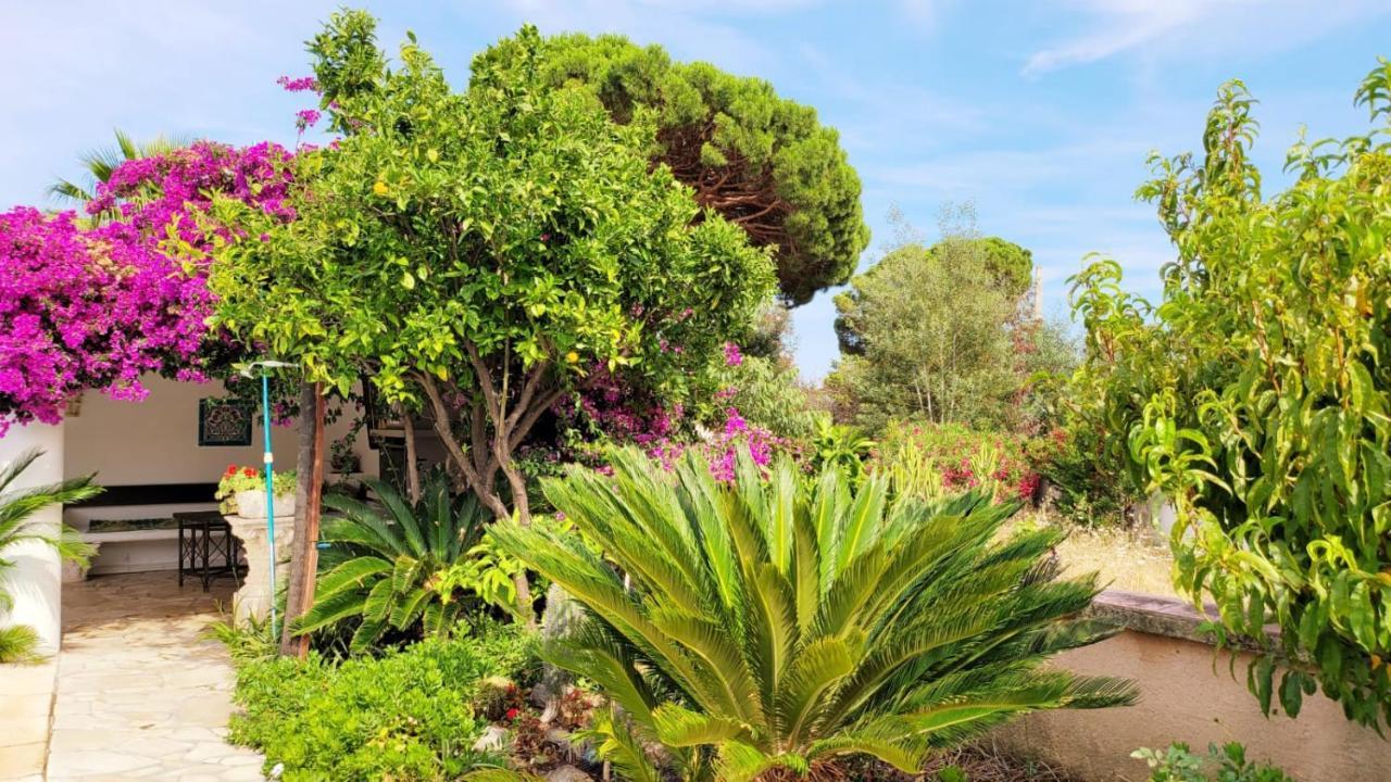 Villa Provencale A Sainte Maxime, Golf De Saint Tropez Zewnętrze zdjęcie