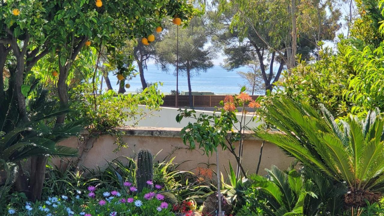 Villa Provencale A Sainte Maxime, Golf De Saint Tropez Zewnętrze zdjęcie